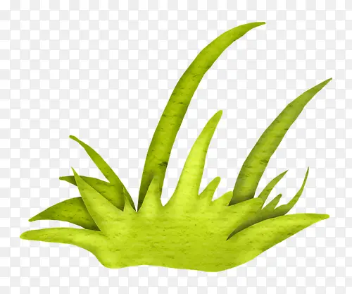 �ݴ�-������