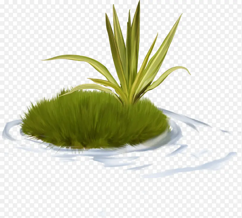 ˮ�вݴ�-������