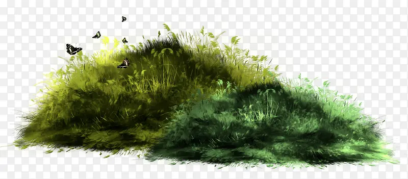 �ݴ�-������