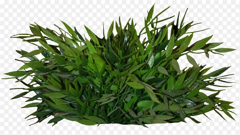 �ݴ�-������