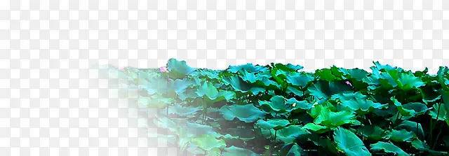 �̲�-������