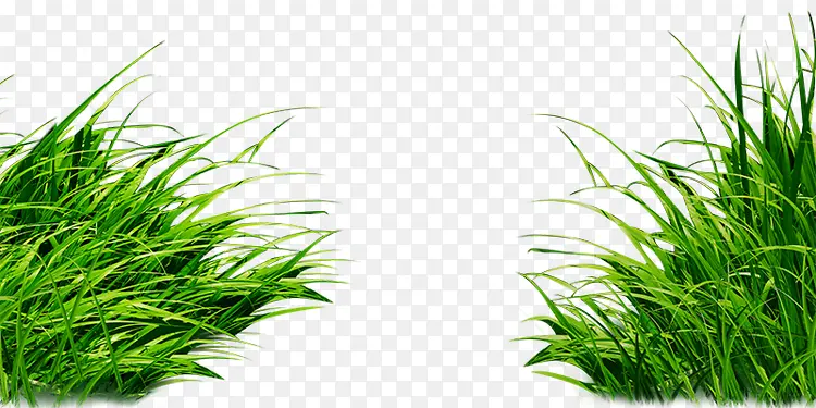 �ݴ�-������