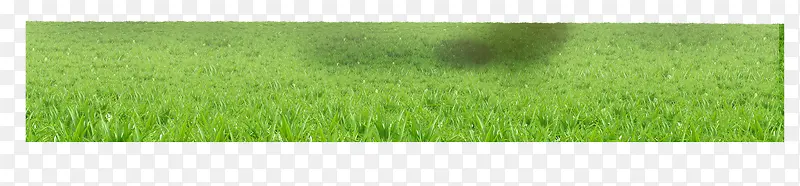 �̲�-������