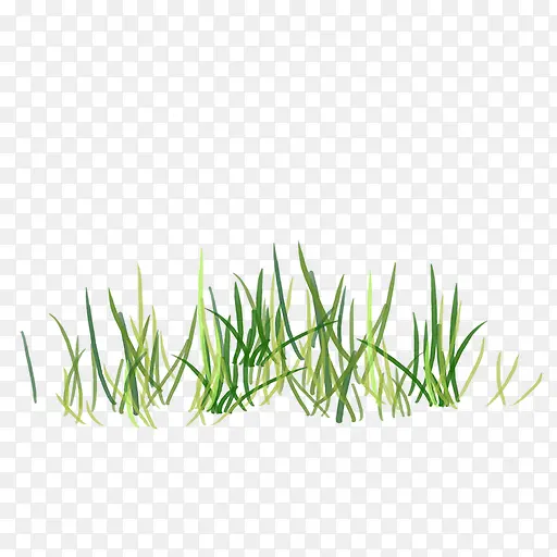 �ݵز�ƺ�̲�-������