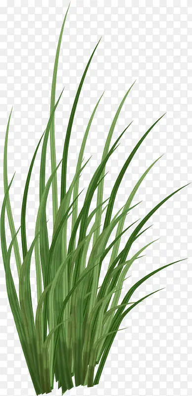 �ݴ�-������