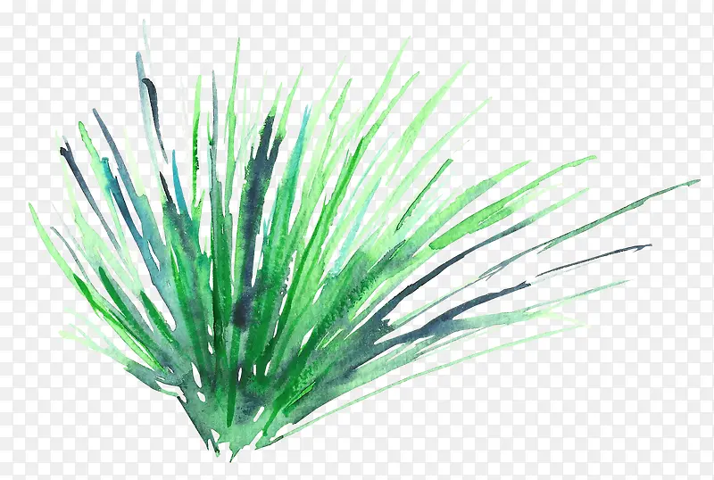 �̲�-������