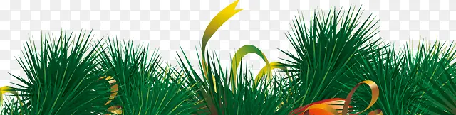 �̲�-������