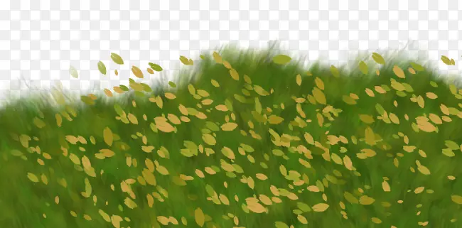 ��ɫ�ݴ����-������