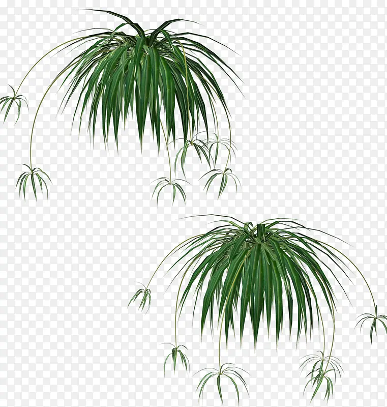 �̲ݲݴ�ֲ��-������