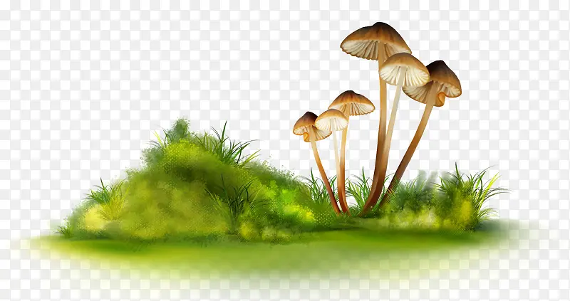 �̲�-������