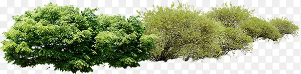 ��������ֲ��ݴ�-������