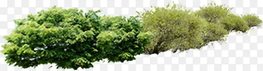 �����ݴ���������-������