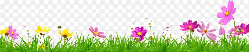 ��ɫ����С���ݴ�-������