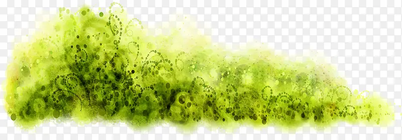 ˮ�ʺϳ���ɫ�Ĳݴ�-������