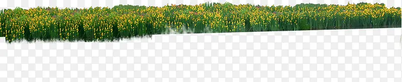 �������ݴԺϳ���Ӱ-������