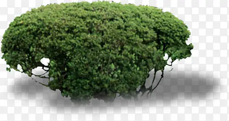 ������Ӱ��ɫ�ݴ�-������