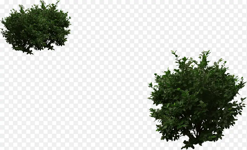 ������ɫֲ��ݴ�-������