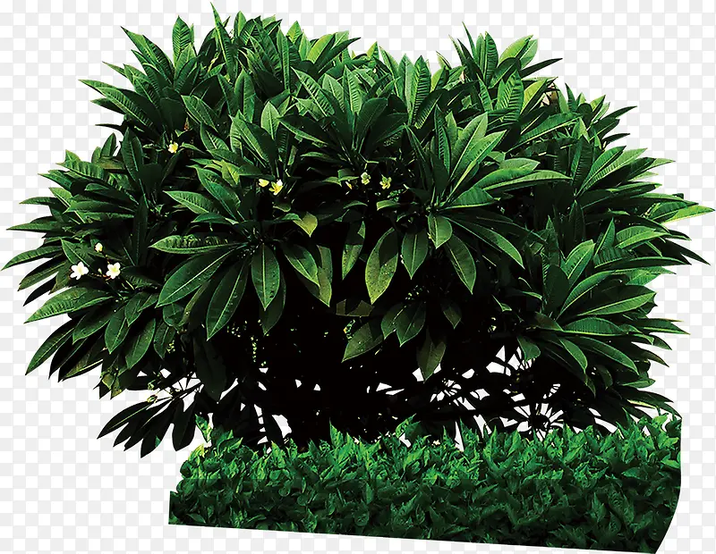 ������Ӱ������ɫ�ݴ�-������