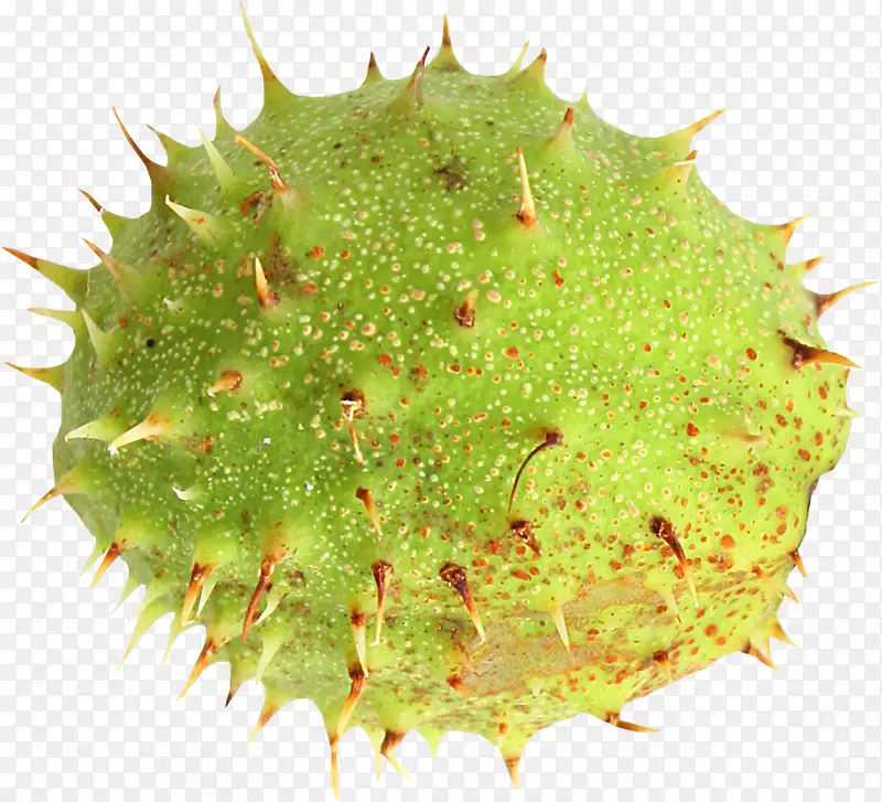 ������������-������