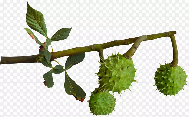 ����ֲ�����Ӽ�����.����-������