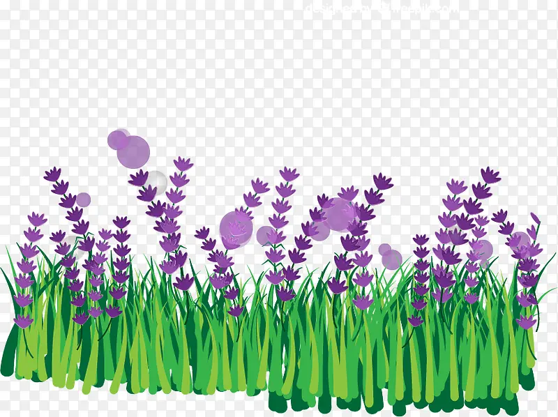 ޹�²ݻ���-������