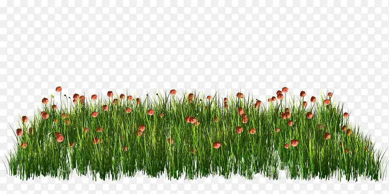 ��ͨ�ֻ滨��-������