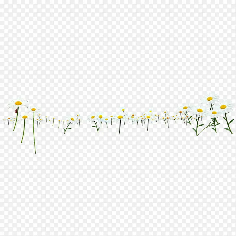 ��ͨ����-������