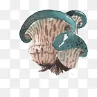 ��ͨ�ֻ�Ģ��-������