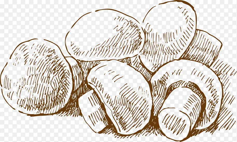 �ֻ�ʳ��-������