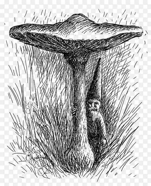 �ֻ�Ģ��-������