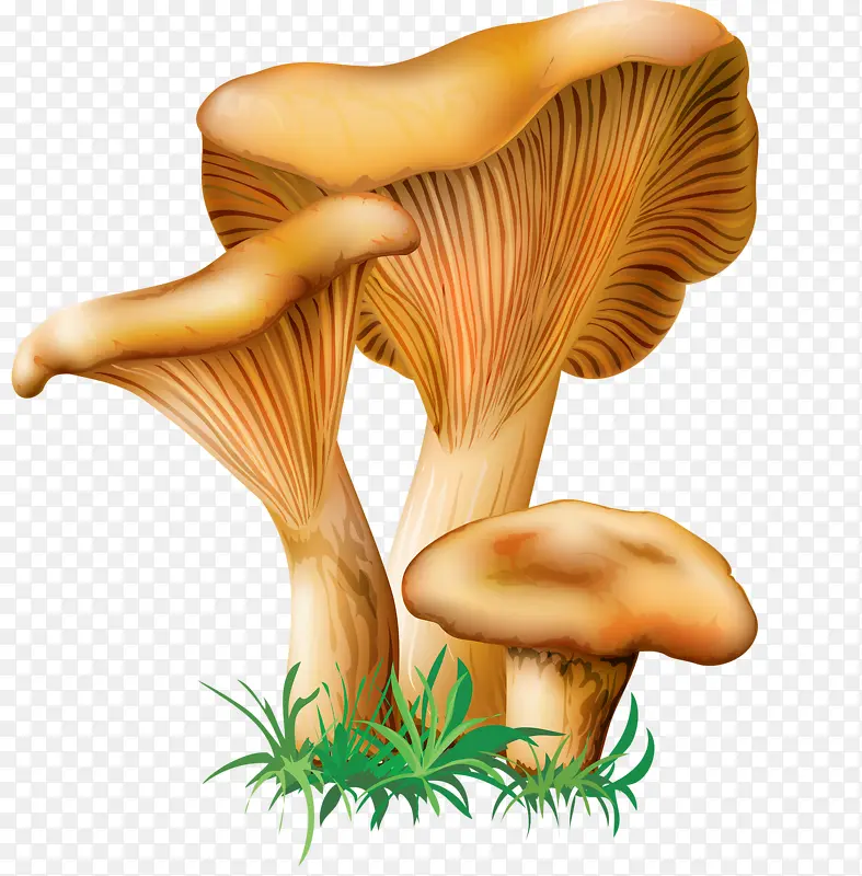 �ֻ����-������