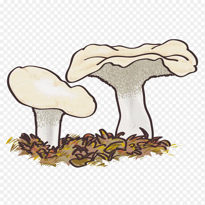 �ֻ�Ģ��-������