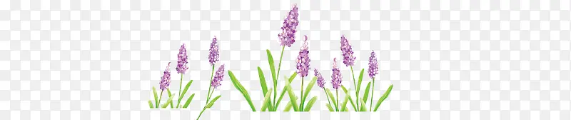 ޹�²�-������