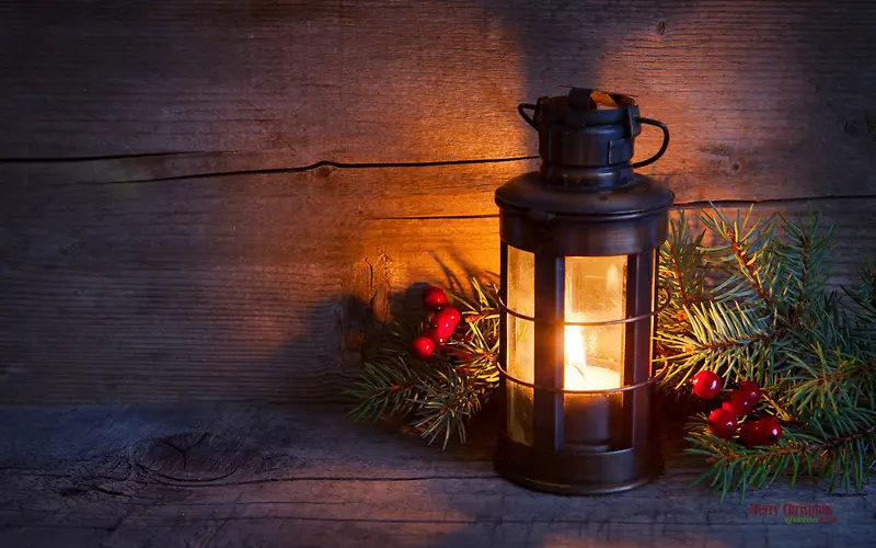 �͵ƻ���ľ��ˮ��-������