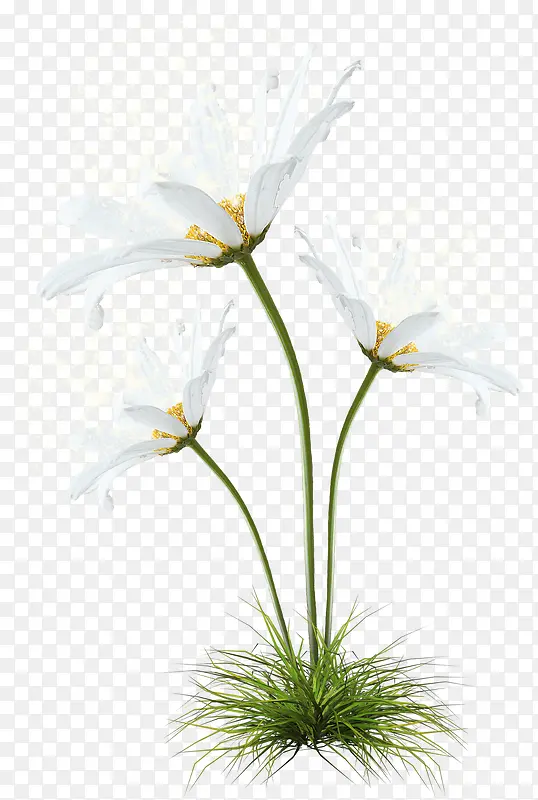 ����-������