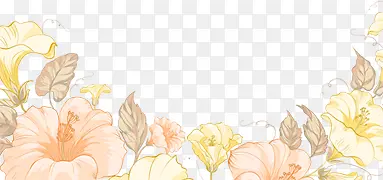 ˮ��ֲ�ﻨ��-������