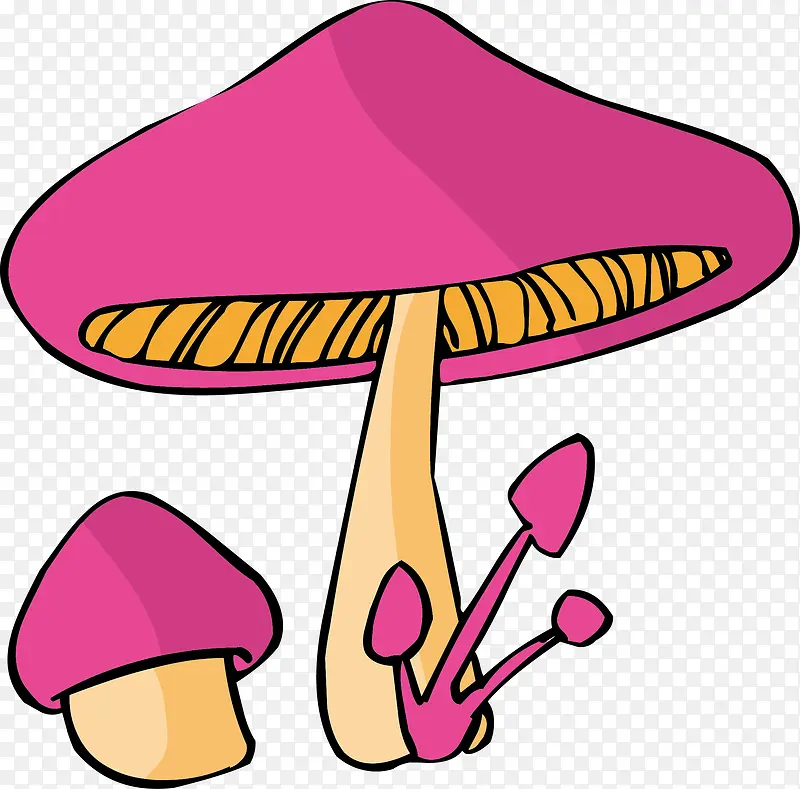 �ɰ���ͨĢ���ز�-������