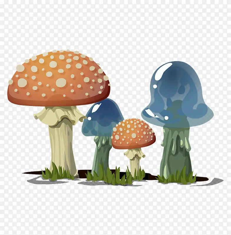 ˮ��Ģ��-������