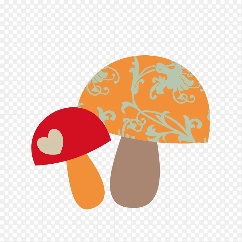 ��ͨĢ��-������