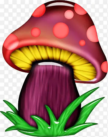 ��ͨ�ɰ�Բ��Ģ����Ҷ-������