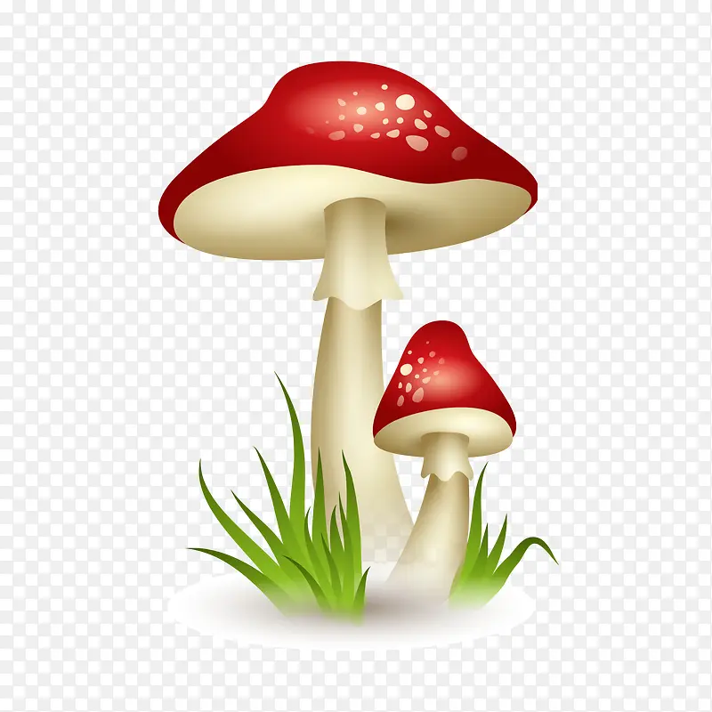 �ɰ���ͨĢ��-������