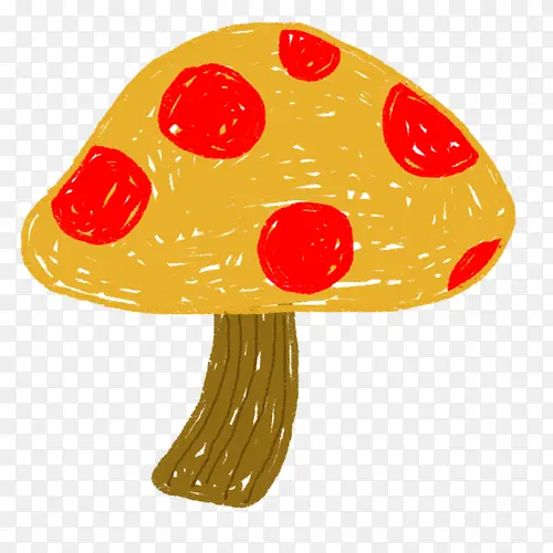 ��ɫ��ͨĢ��-������