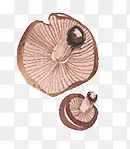 ��ͨ�ֻ�Ģ��-������