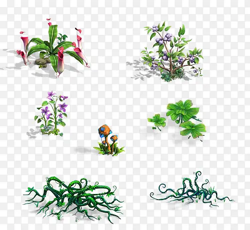 ��ͨ�������Ģ����Ҷ-������