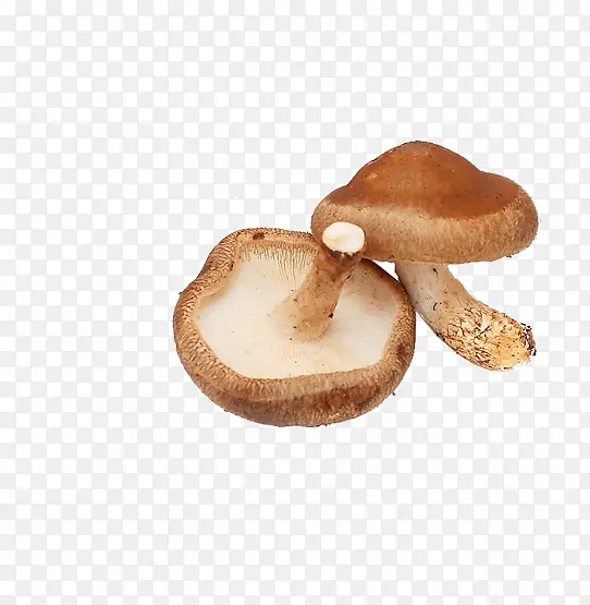 Ģ��ͼƬ-������