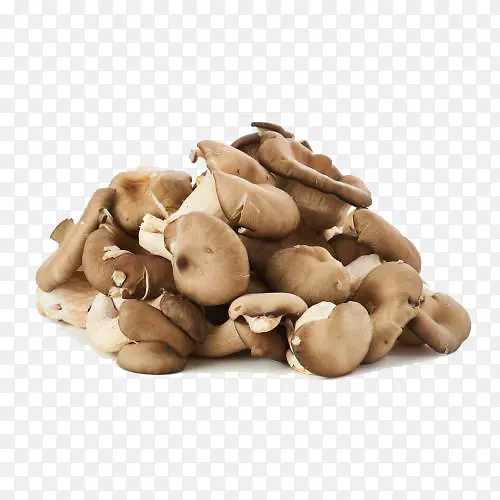 �߲�Ģ��-������