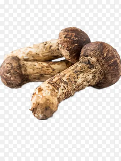 Ģ��-������