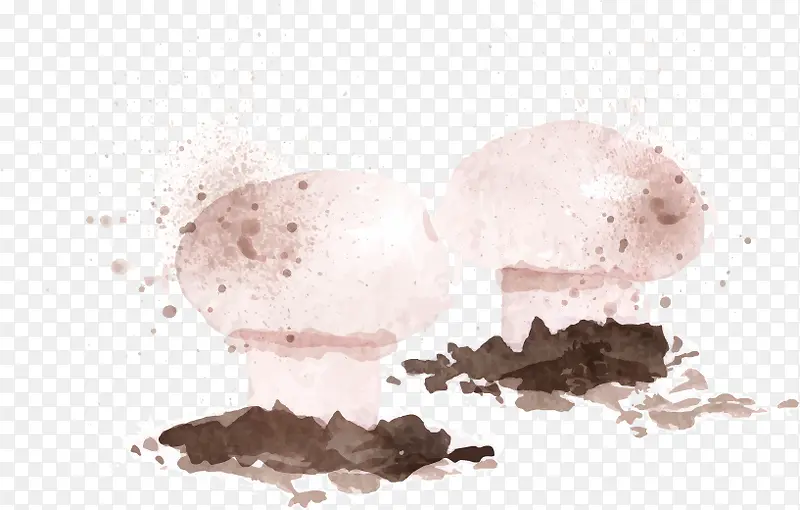 ��ͨˮ���߲�Ģ��-������