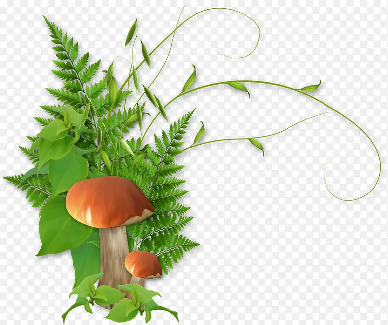 �̲�-������