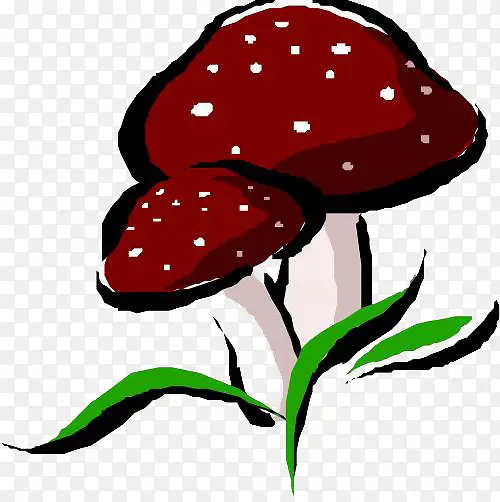 ��ͨ�ֻ�Ģ��-������